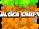 Block Craft 3D