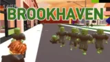 Brookhaven