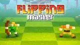 Flipping Master