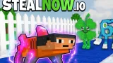 StealNow IO