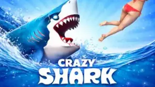 Crazy Shark
