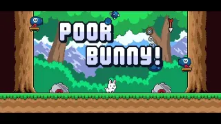 Poor Bunny