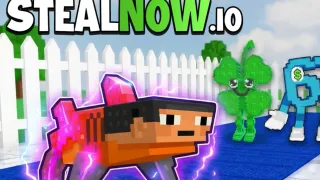 StealNow IO
